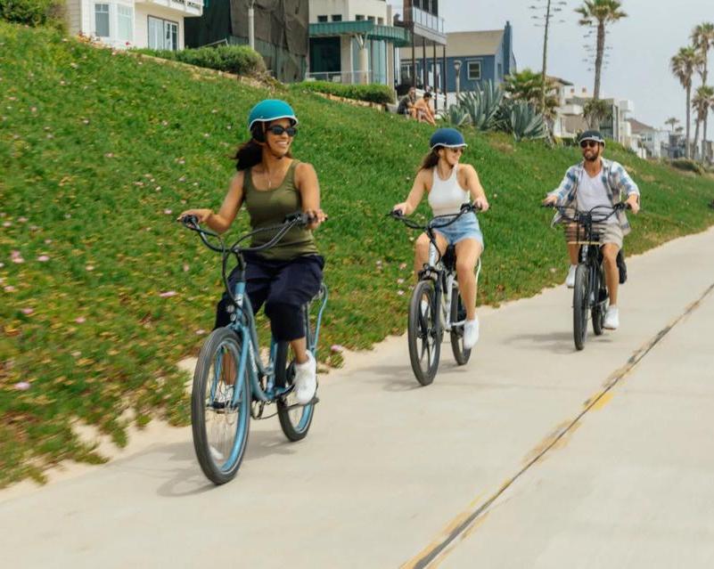 Производитель из Калифорнии Pedego выпустил велосипед City Commuter Platinum Edition