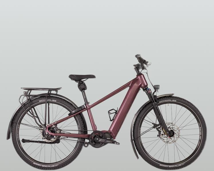 Хардтейл, привод Shimano, конфигуратор на сайте.</p>
<p>Немецкий производитель Maxx выпустил модель Pacemaxx ELS Tour.